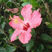 ドラマ 最高の離婚 の中の三浦春馬 垣 公華子 Note