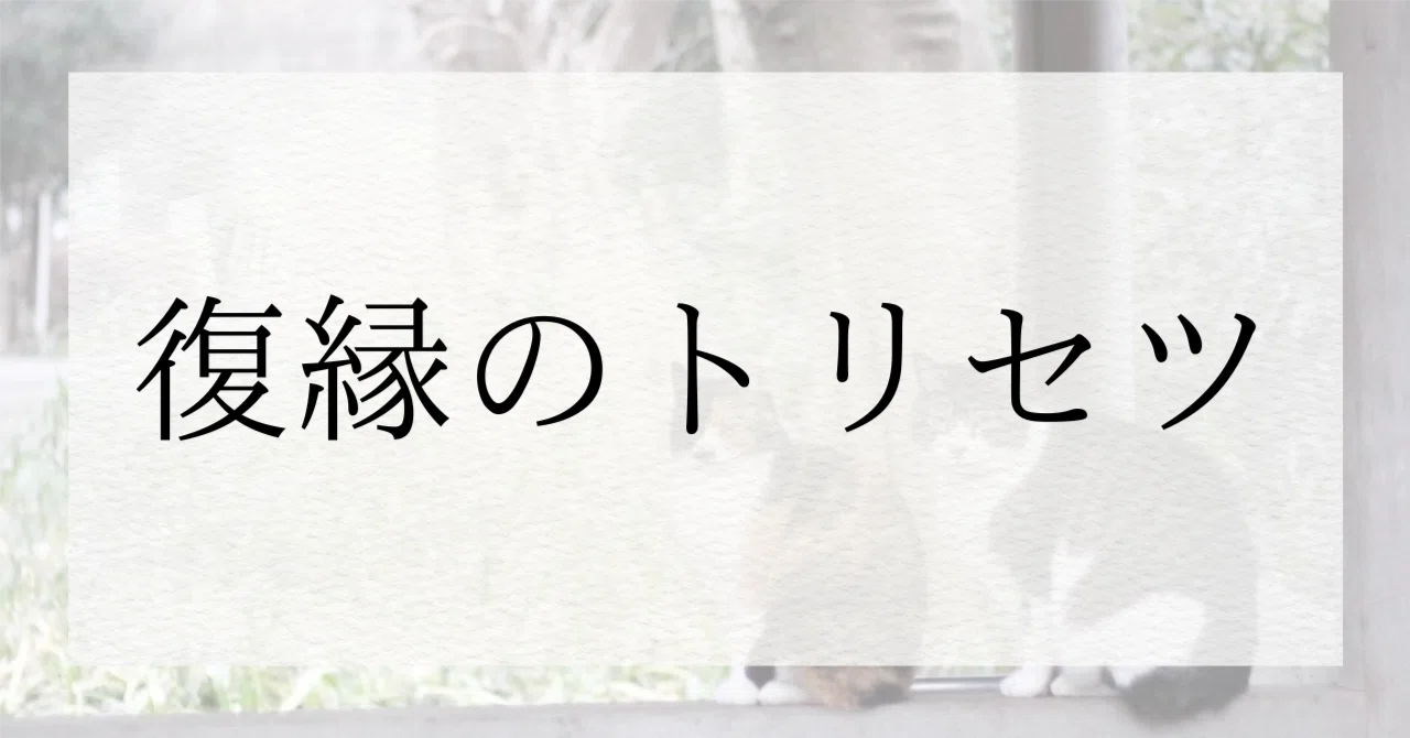 【Instruction Manual for Reconciliation】20 Differences Between Women Who ...