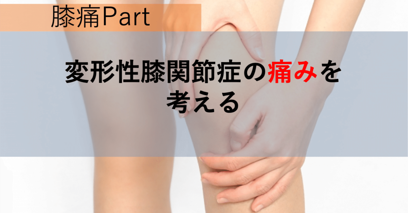 変形性膝関節症の痛みを考える 筋膜とウィメンズヘルス Sachi Note