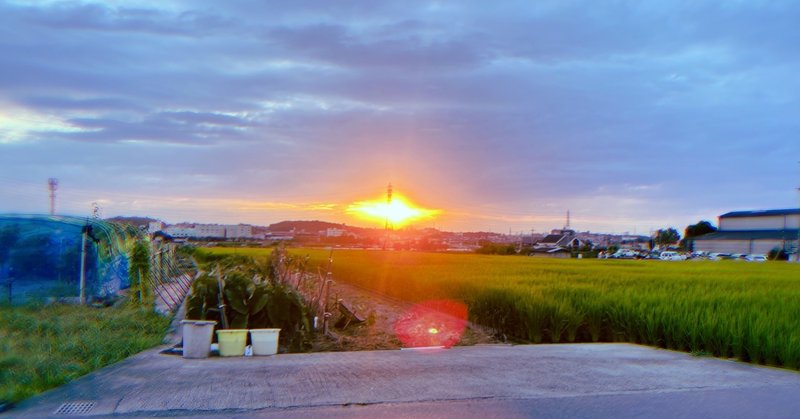 いつか こんな時もあったね と懐かしく思えるような夏を 杉岡 みなみ Note