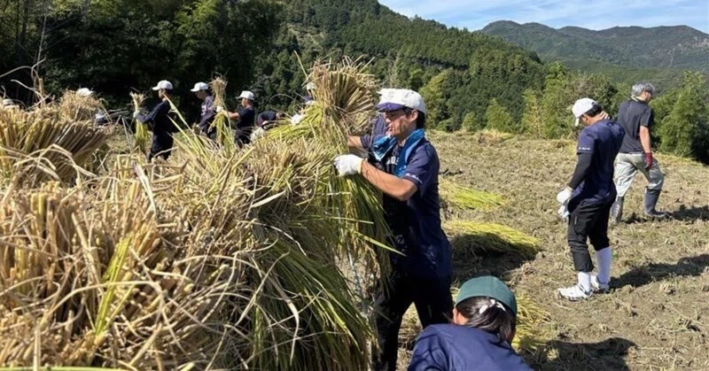 【〈食育×地域連携〉「食」への感謝を力に！硬式野球部が棚田再生プロジェクト！】