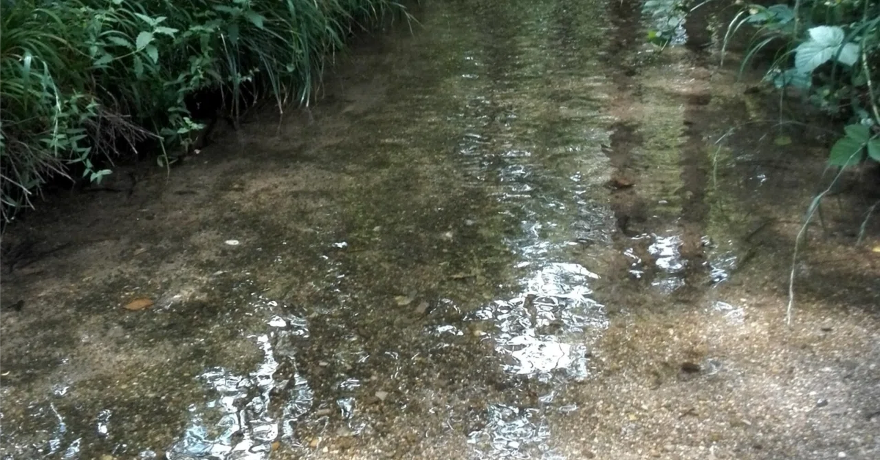 Meguro, the Five Elements, and the Flow of Water｜cosmicsoletokyo
