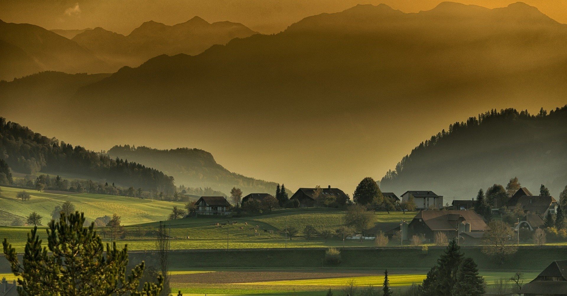 スメルズライクグリーンスピリット 感想 ど田舎をサバイブする若者たちのジレンマ かぼす Bl感想 Note