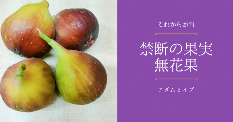 アダムとイブ 禁断の果実 イチジク 修家大雄 レストラン ラ フェ Note