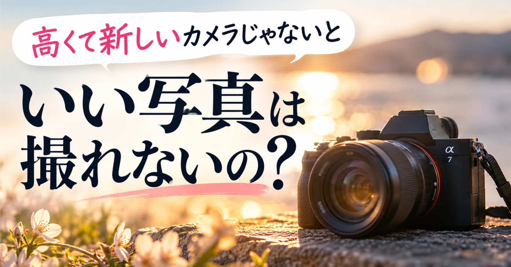 写真が撮れなきゃカメラじゃない！ 高くて新しいカメラで撮影しないと、いい写真は撮れないの？｜katy