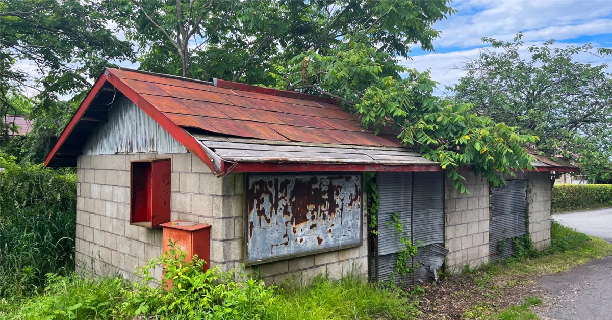 [The Vacant House Problem and Closing the Family Home] Part 8: What to ...