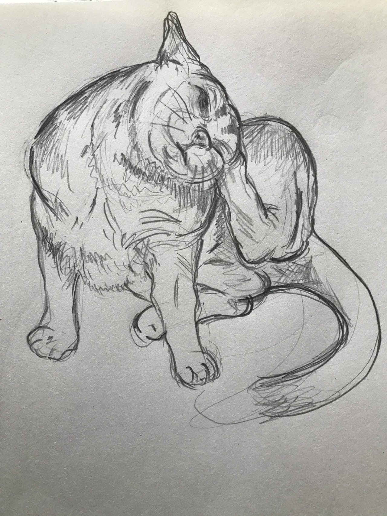 Ipadで絵をかく練習をしてます Eiko Note Ipadで絵をかく練習をしてます Eiko Note