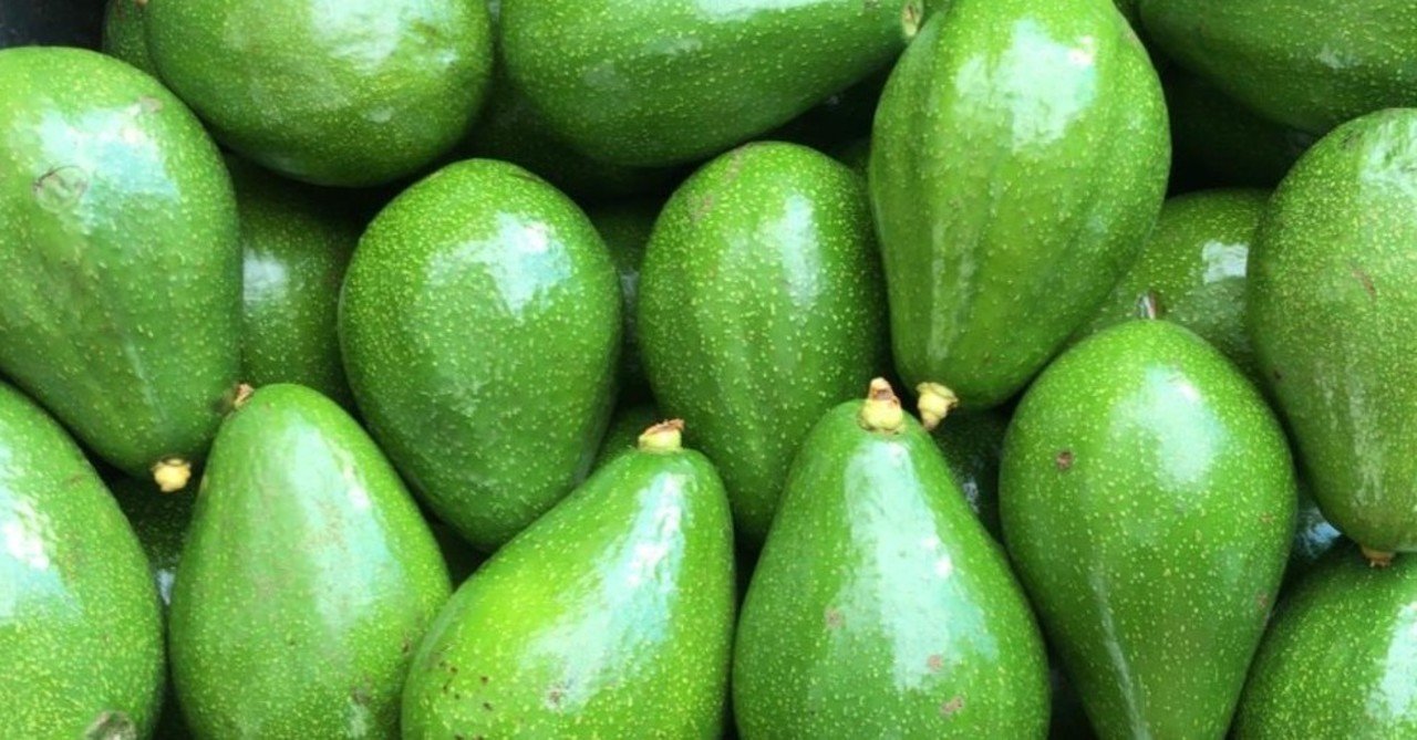 一味違うブラジルのフルーツ アボカド 愉快米 ブラジル サンパウロ Note 一味違うブラジルのフルーツ アボカド 愉快米 ブラジル サンパウロ Note