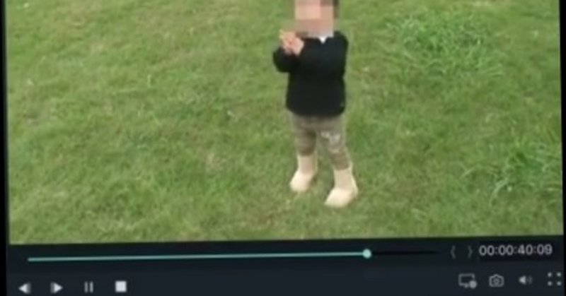 動画編集 Filmore9 モザイクをかける ワーケーションを楽しもう Note