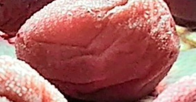 梅干しを夜露でびしゃびしゃにしてみた 2年目の理由 きらとしくん Note