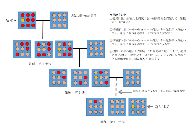 種苗法改正、自家採種禁止の衝撃‼︎ 有機栽培農家への影響は⁉︎.doc（印刷プレビュー） - WPS Writer - 互換モード 2020_08_15 8_35_09 (2)