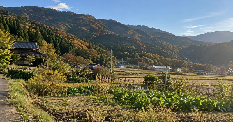 親に「農業はやるな」と言われた。なのに、田畑と農機具を相続した。