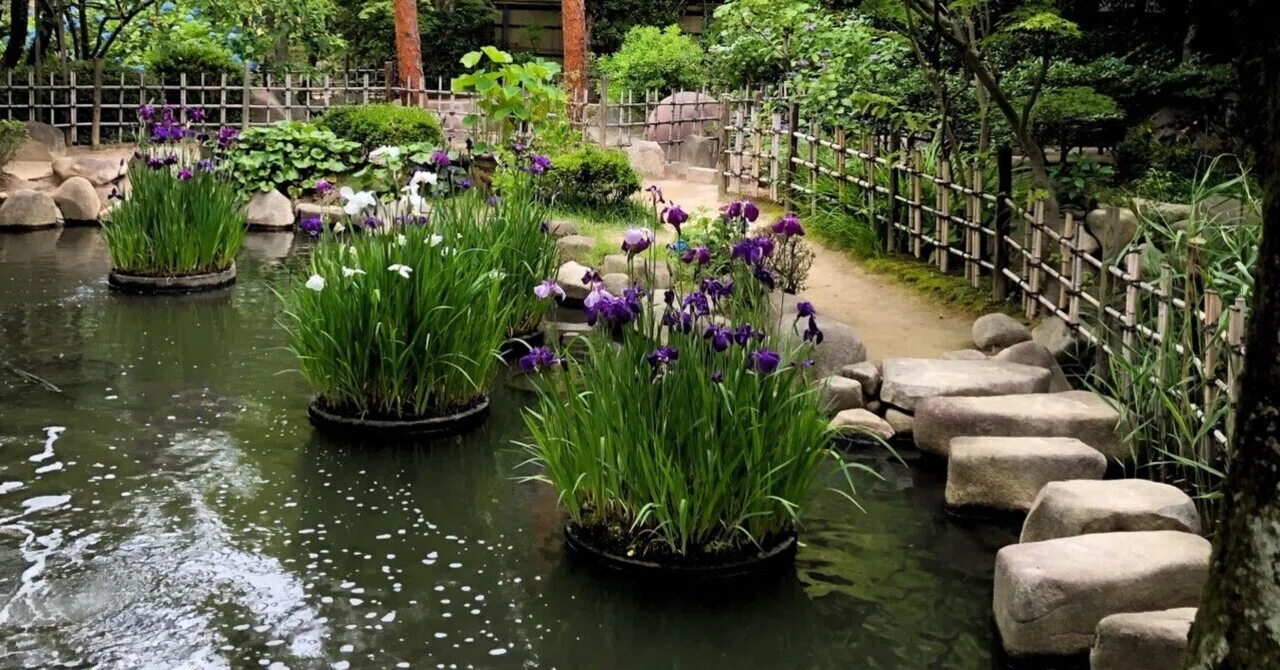 Digression is a 'Connection'—The Value of Disjointed Dialogue Learned ...