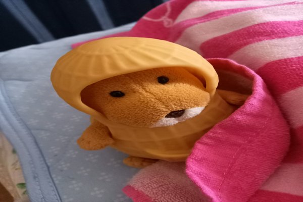 らくちゃん の新着タグ記事一覧 Note つくる つながる とどける