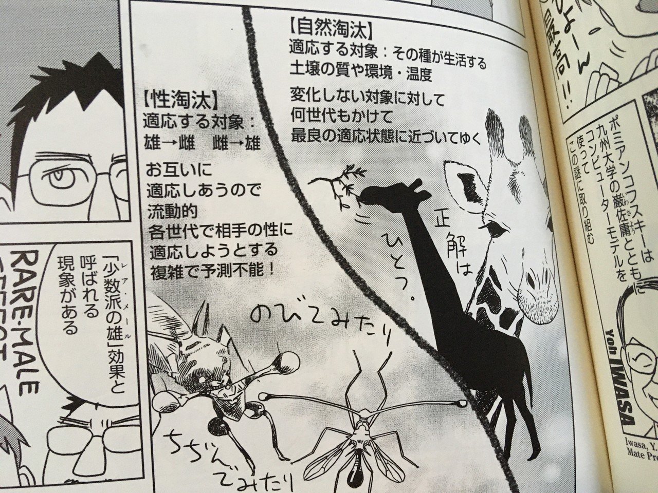 毎日読書感想文 ダーウィンの覗き穴 マンガ版 虫たちの性生活がすごいんです 08 15 Vol24 Hakatamax Note