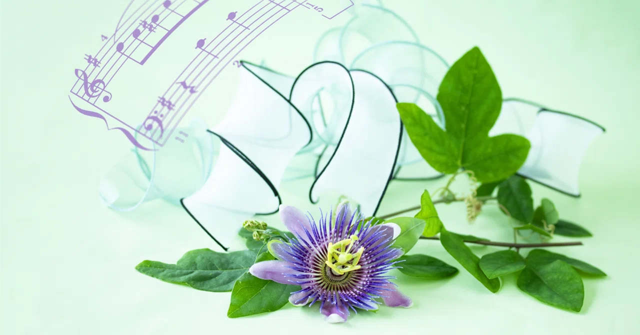 Learning from the 'Thirty Verses on Consciousness-Only' - Random ...