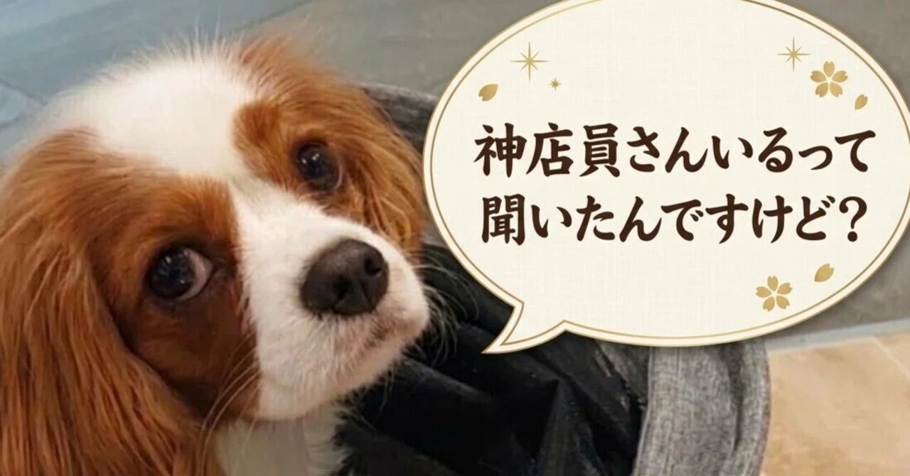 エミテラス所沢のペットショップ「Paw's living」の接客がすごい｜他店
