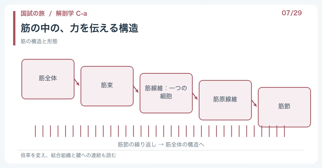 【🔵Detailed Explanation | Chapter 1: Journey to the National Exam ...