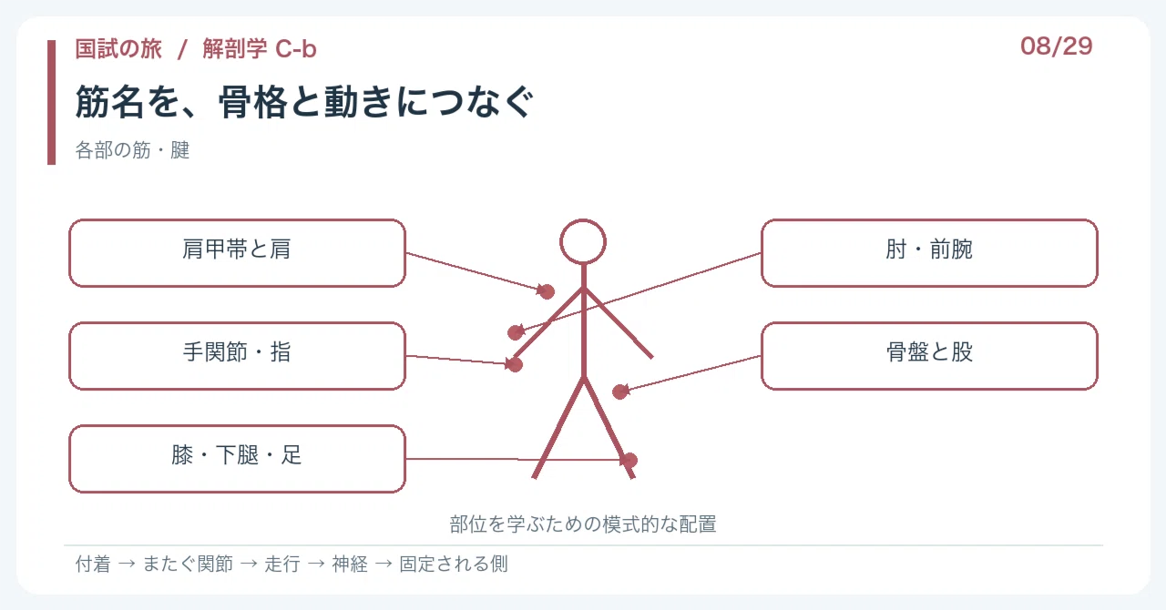 [🔵 Detailed Explanation | Chapter 1: Journey of the National Exam ...