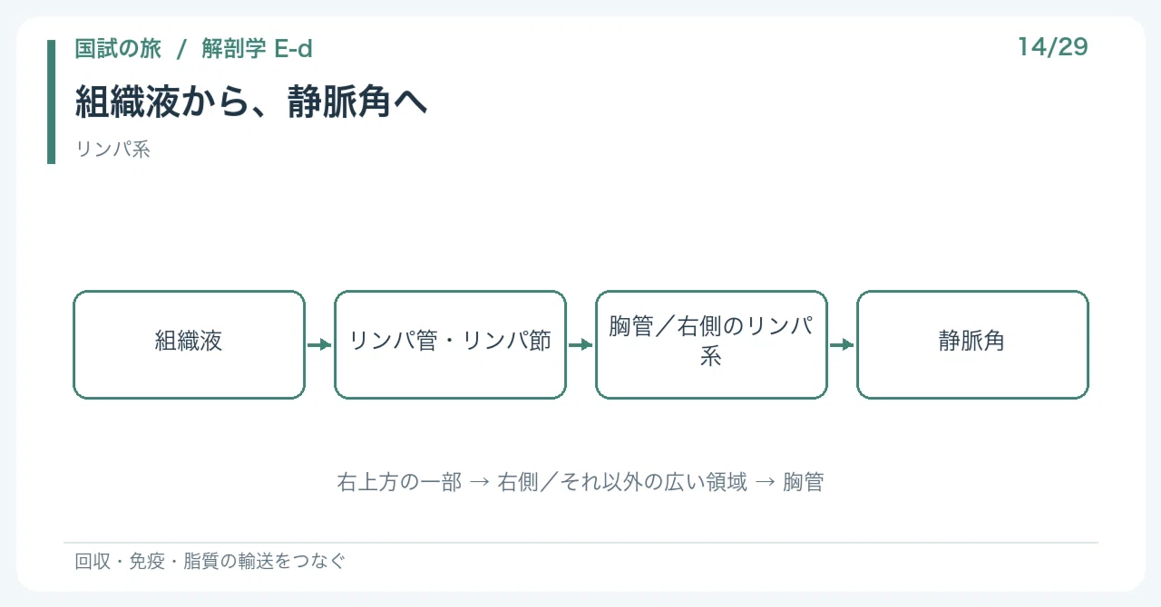 【🔵Detailed Explanation | Chapter 1: Journey of the National Exam ...