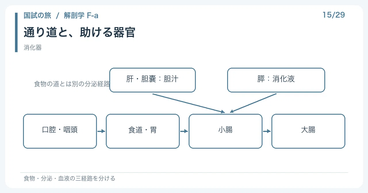 [🔵 Detailed Explanation | Chapter 1: Journey of the National Exam ...