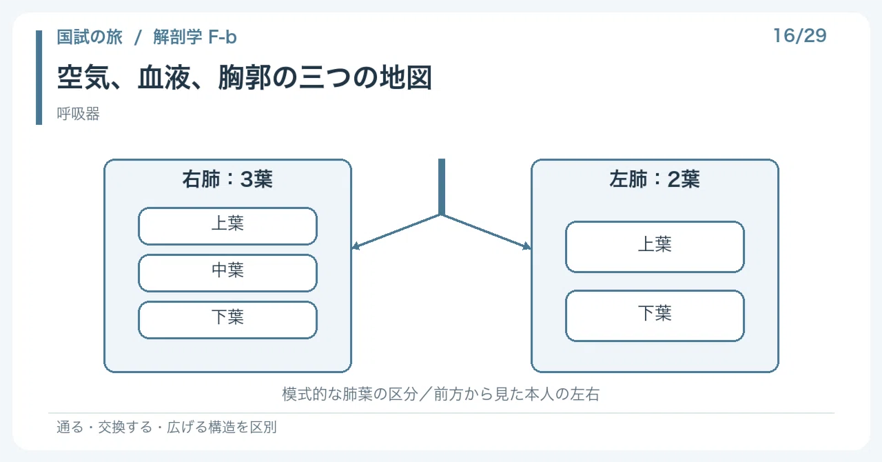 [🔵 Detailed Explanation | Chapter 1: Journey through the National Exam ...