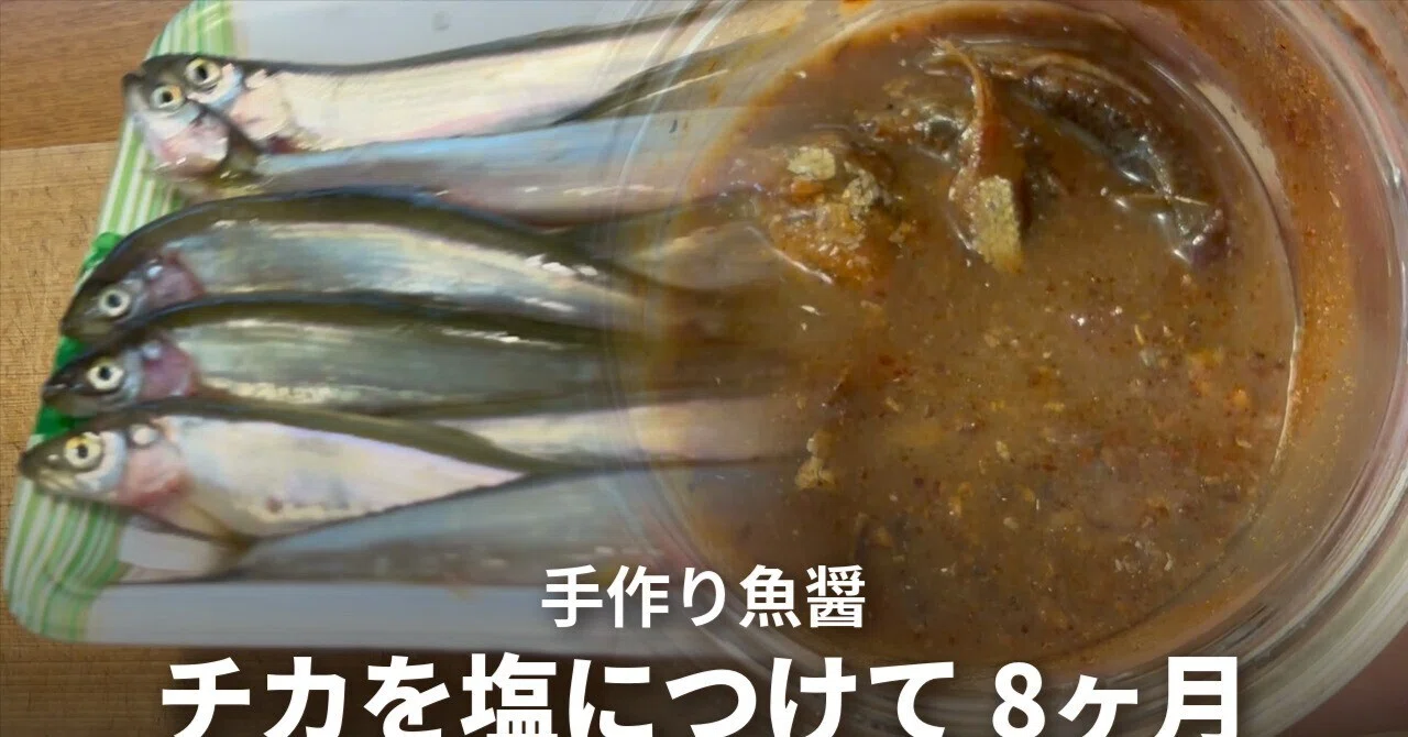 8 months of fermenting fish sauce with only smelt and salt. Progress ...