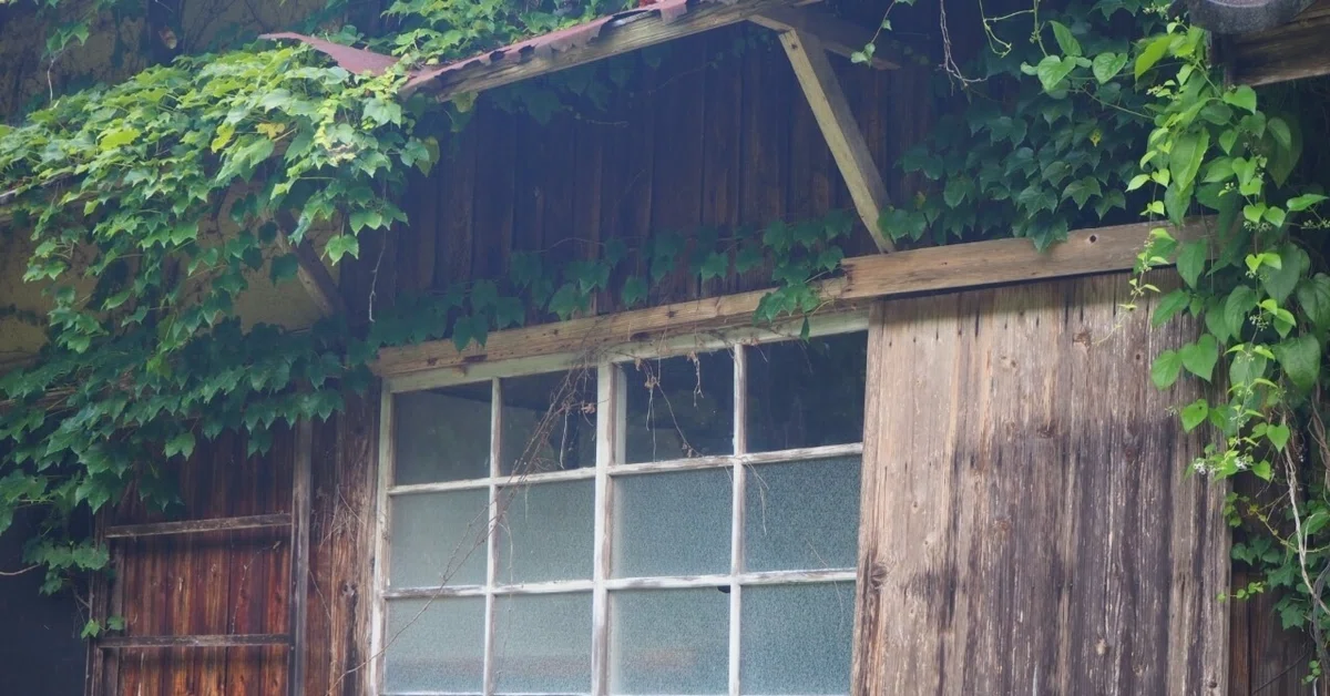 [Whispers of Society] Let's consider the vacant house problem from a ...