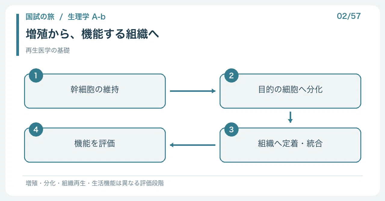 【🔵Detailed Explanation | Chapter 1: Journey to the National Exam ...