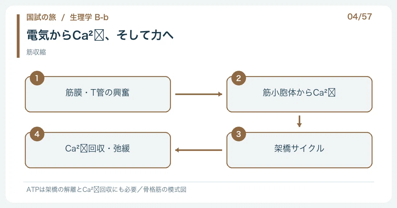 【🔵Detailed Explanation | Chapter 1: Journey to the National Exam ...