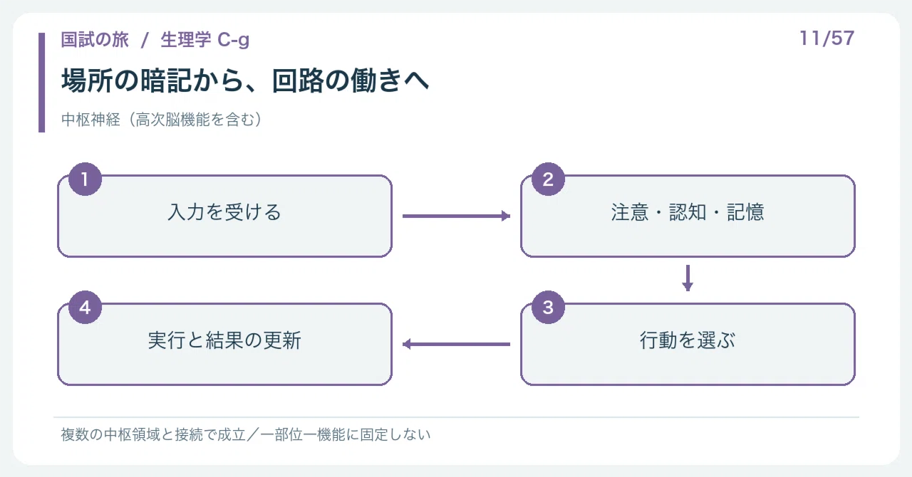 【🔵Detailed Explanation | Chapter 1: Journey through the National Exam ...