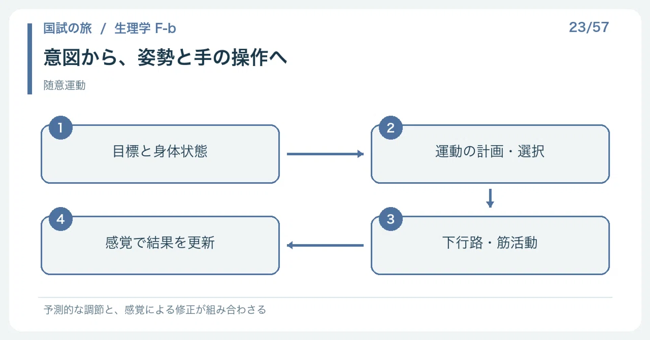 【🔵Detailed Explanation | Chapter 1: Journey to the National Exam ...