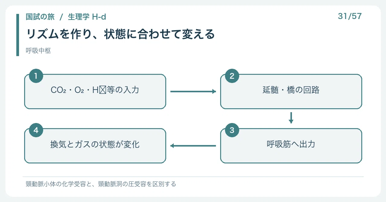 [🔵 Detailed Explanation | Chapter 1: Journey through the National Exam ...