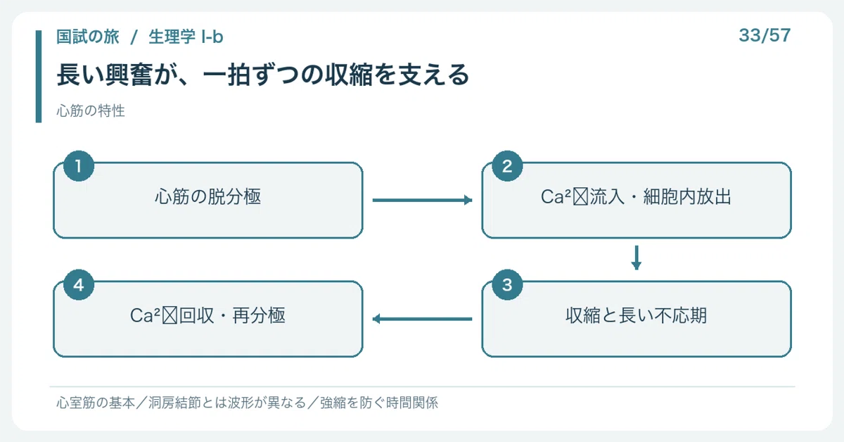 Contraction Do Not 【🔵Detailed Explanation | Chapter 1: Journey through the National Exam ...