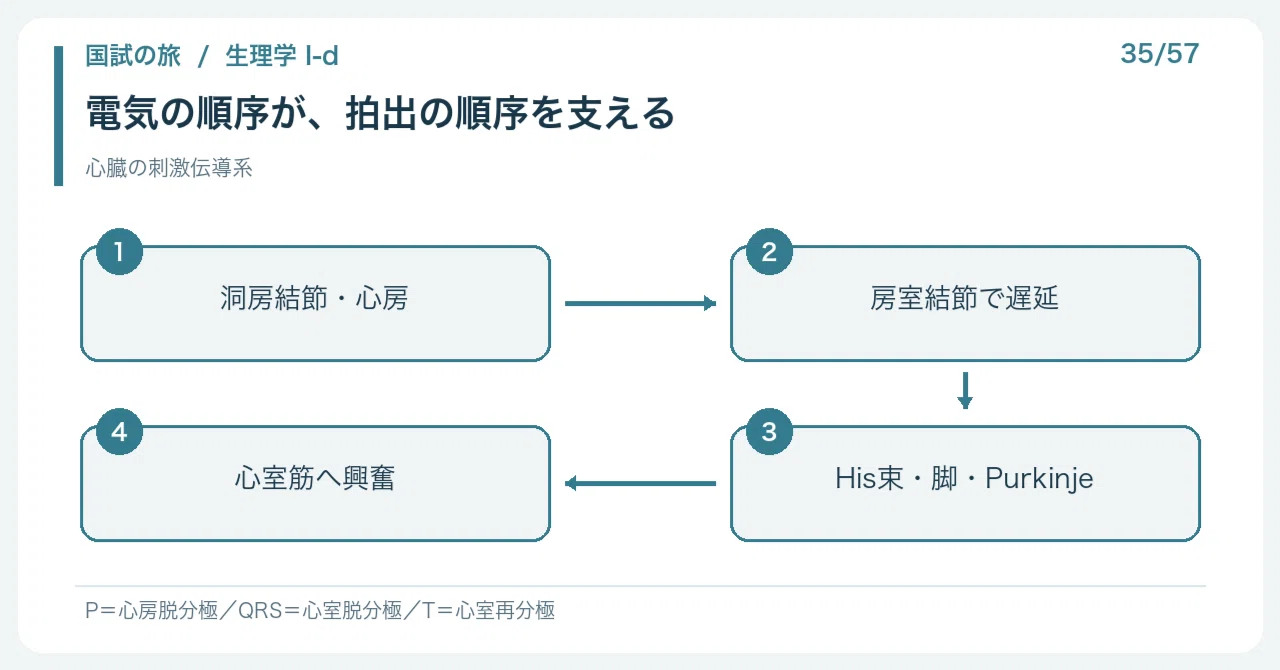 [🔵 Detailed Explanation | Chapter 1: Journey through the National Exam ...