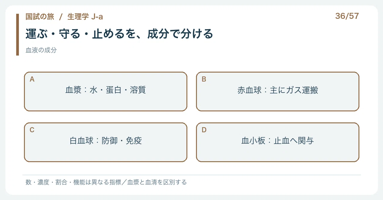 【🔵Detailed Explanation | Chapter 1: Journey to the National Exam ...