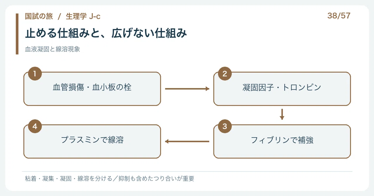 [🔵 Detailed Explanation | Chapter 1: Journey through the National Exam ...