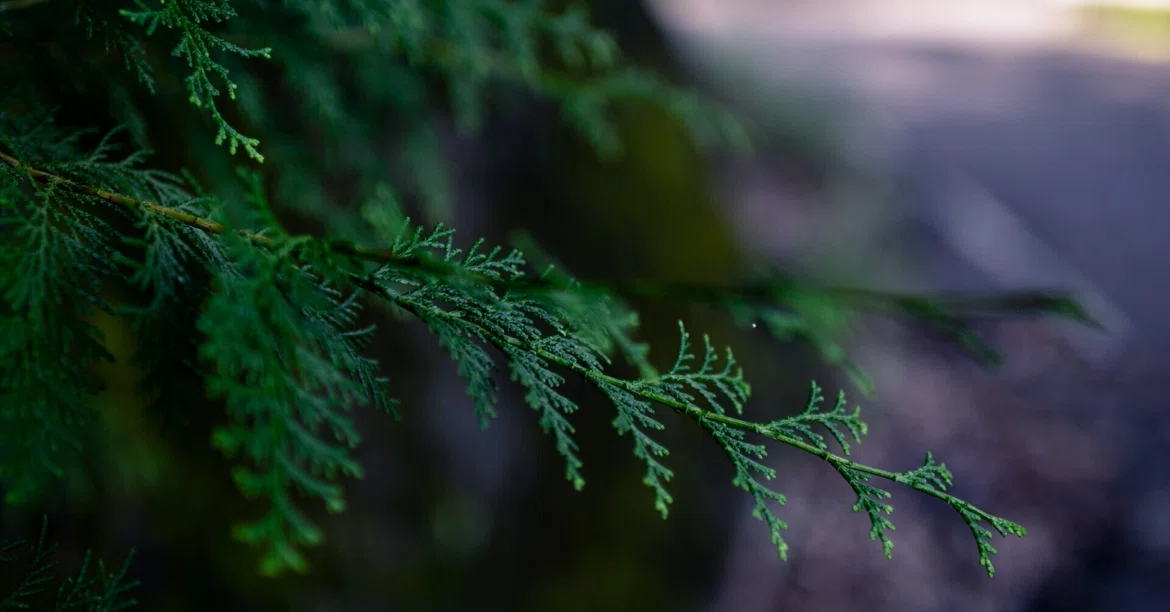 [Paid/Ultra-Concentrated] In an era where AI makes photos perfect, what ...