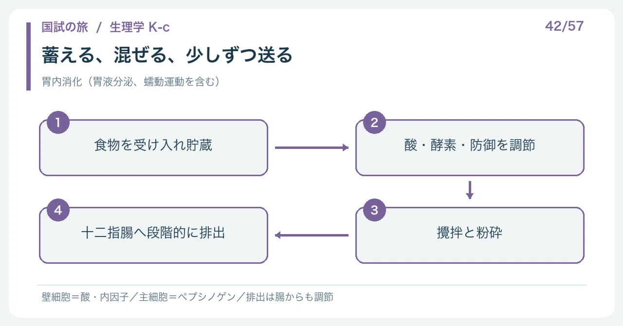 【🔵Detailed Explanation | Chapter 1: Journey of the National Exam ...