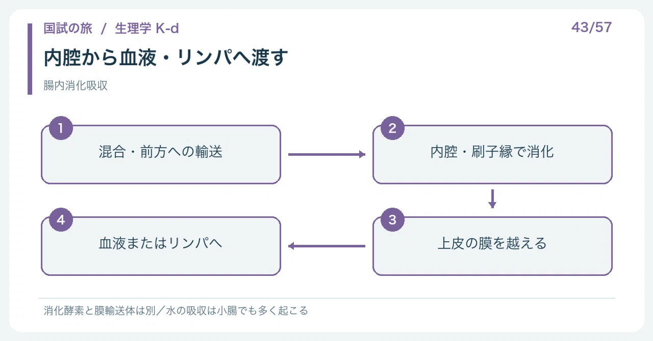 【🔵Detailed Explanation | Chapter 1: Journey of the National Exam ...