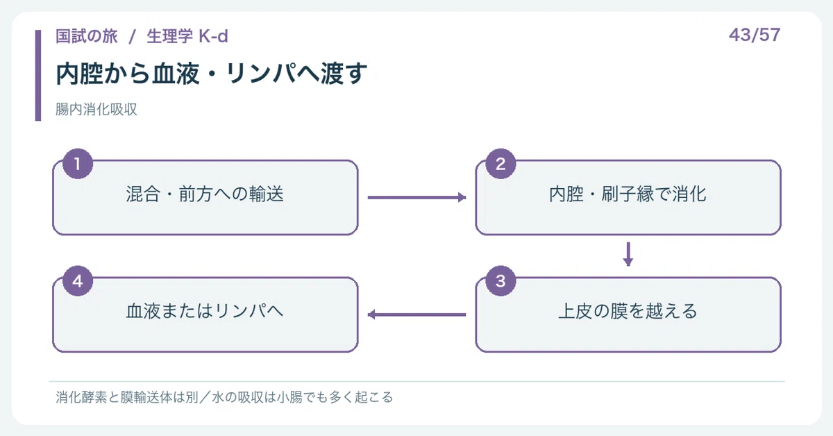 【🔵Detailed Explanation | Chapter 1: Journey of the National Exam ...