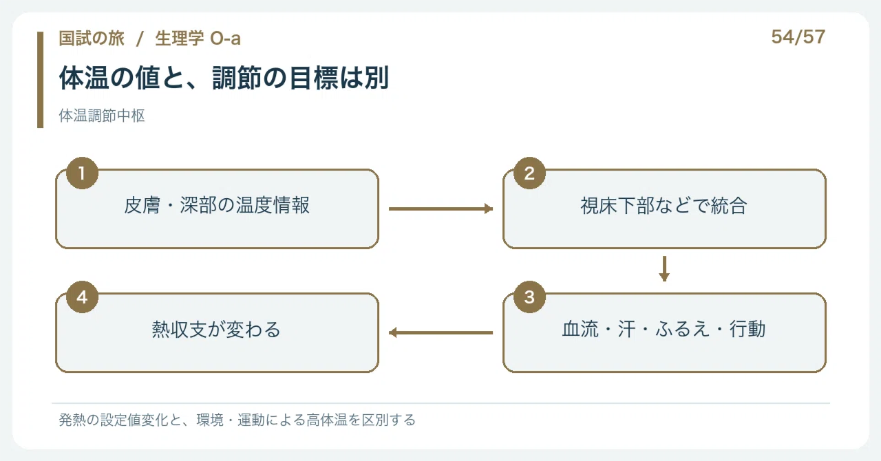 [🔵 Detailed Explanation | Chapter 1: Journey through the National Exam ...