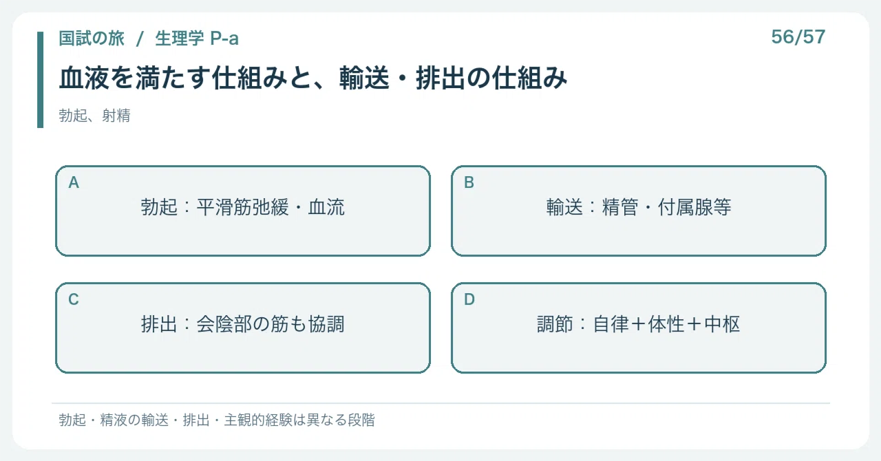 【🔵Detailed Explanation | Chapter 1: Journey to the National Exam ...