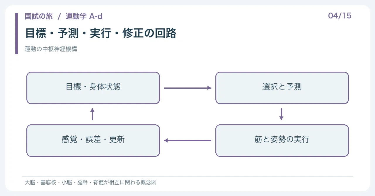 [🔵 Detailed Explanation | Chapter 1: Journey through the National Exam ...