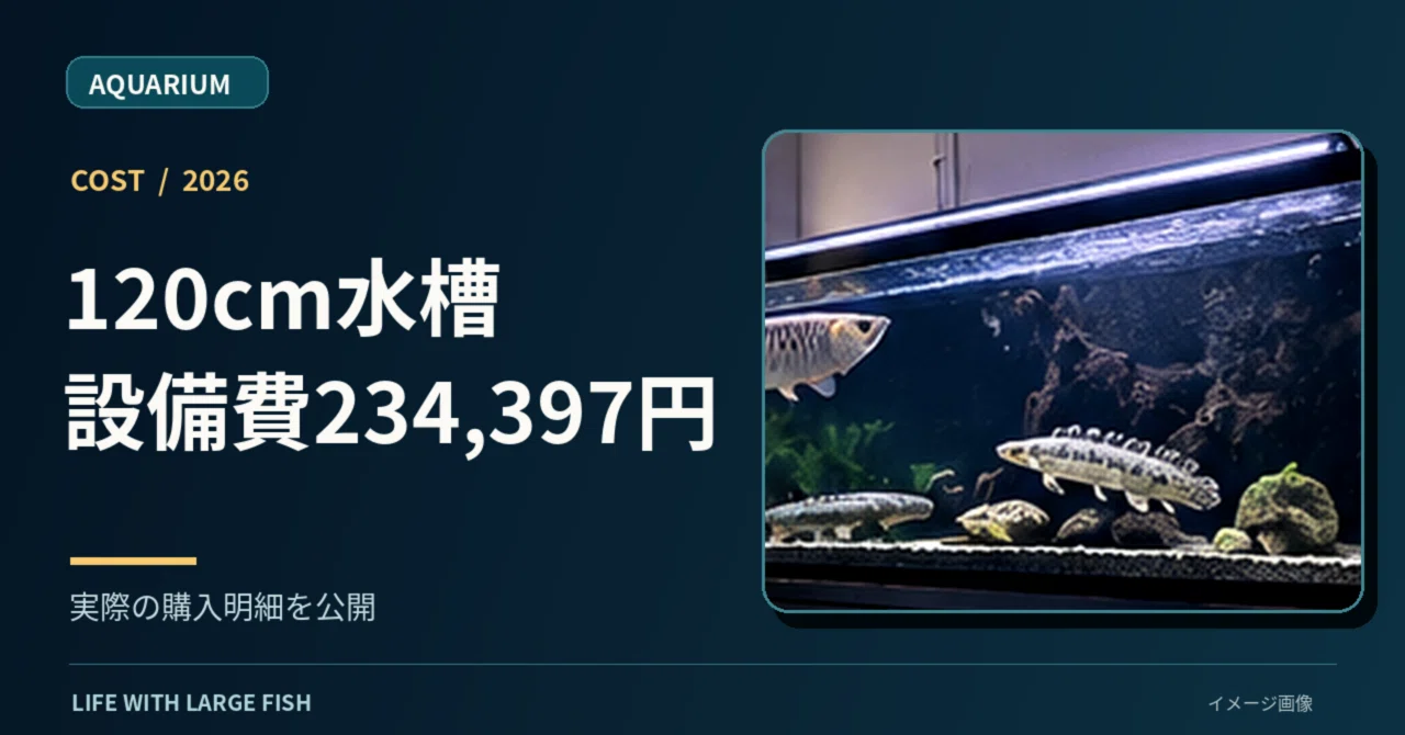 How much did a 120cm aquarium actually cost? Revealing the purchase ...