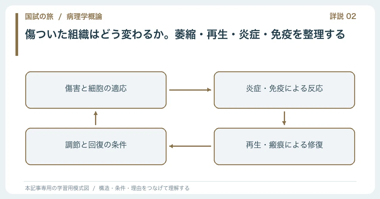 【🔵Detailed Explanation | Chapter 1: Journey to the National Exam ...