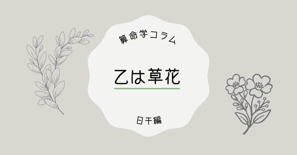 算命学の人気・新着記事まとめ｜note