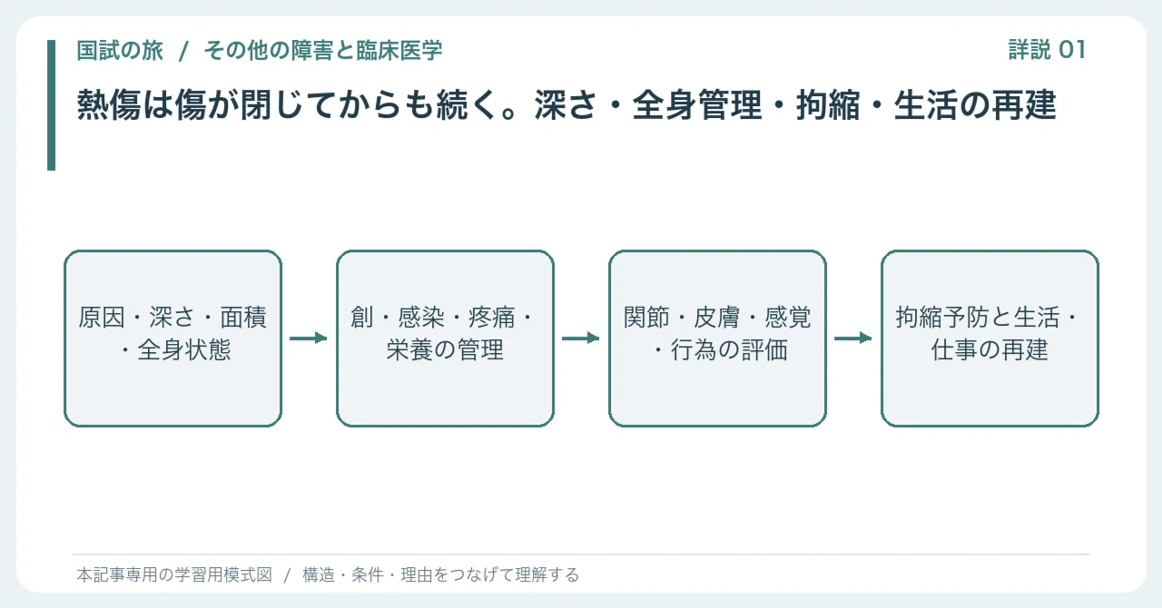 【🔵Detailed Explanation | Chapter 1: National Exam Journey | Other ...
