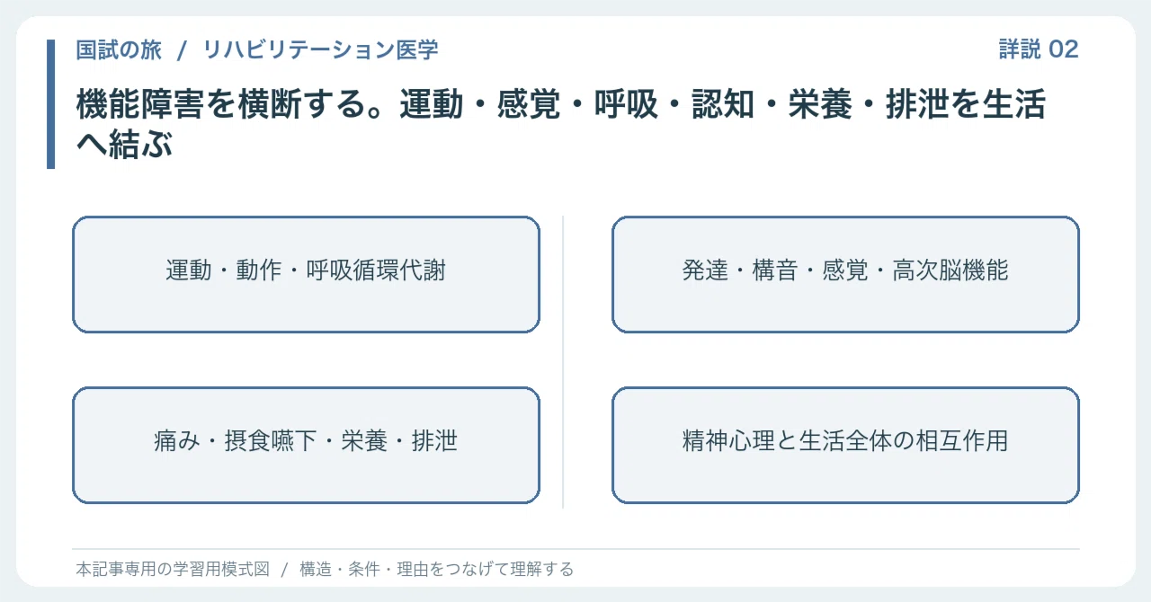 【🔵Detailed Explanation | Chapter 1: Journey of National Examination ...