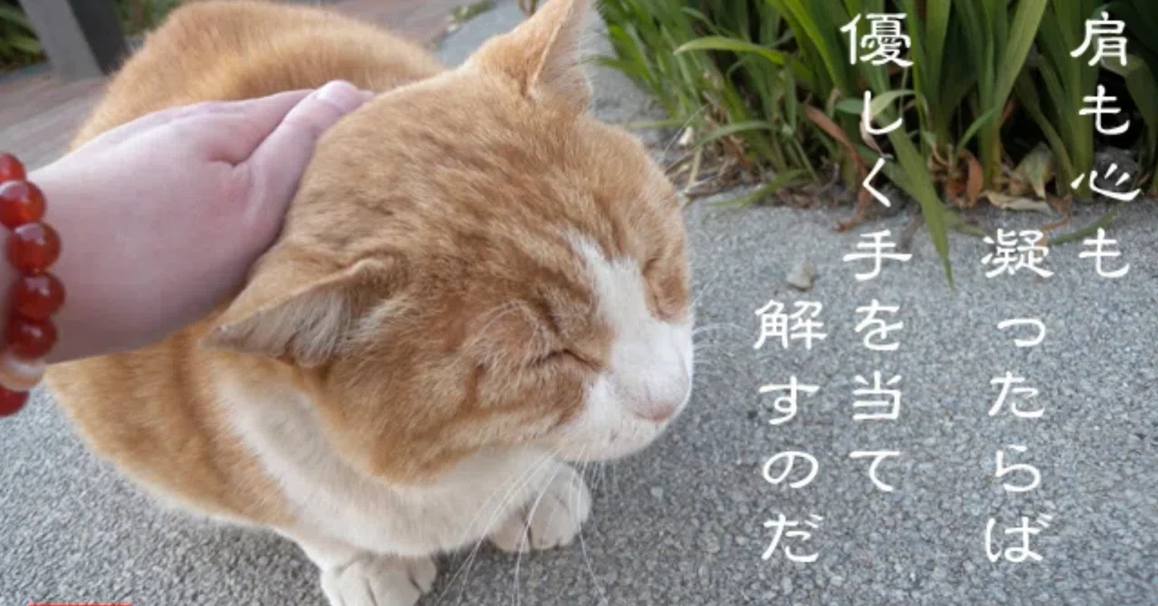 What Is Kindness Examples What are kindness and love? They are 'means for sustainable human ...